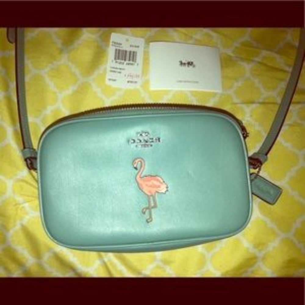 IN SEARCH OF THIS PURSE